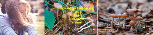 ECSTASY Бронницы