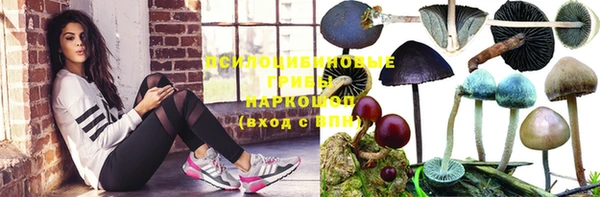 прущая мука Бородино