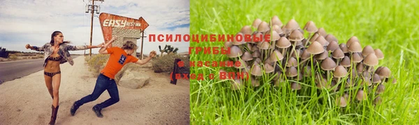 ECSTASY Бронницы