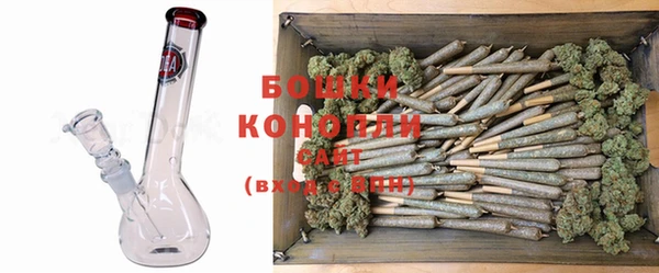 ECSTASY Бронницы