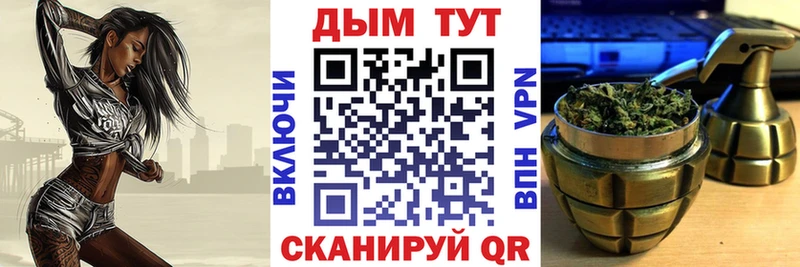 Купить где  Суворов  Каннабис планчик 
